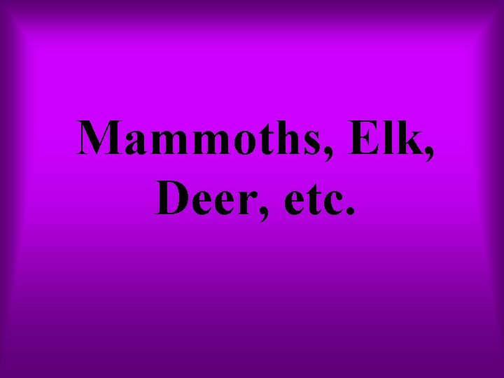Mammoths, Elk, Deer, etc. 