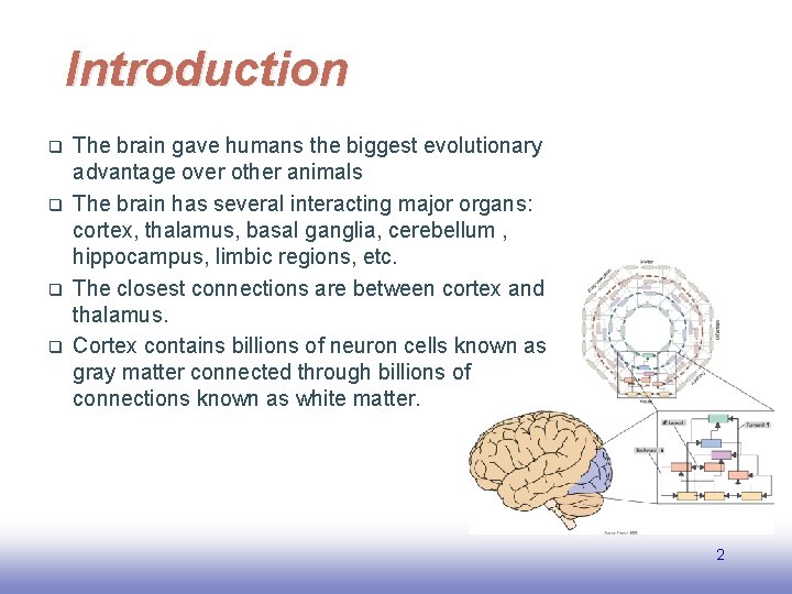 Introduction q q The brain gave humans the biggest evolutionary advantage over other animals