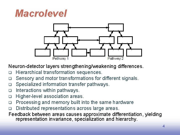 Macrolevel Neuron-detector layers strengthening/weakening differences. q Hierarchical transformation sequences. q Sensory and motor transformations
