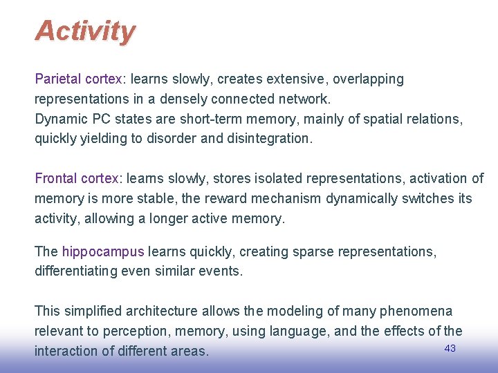 Activity Parietal cortex: learns slowly, creates extensive, overlapping representations in a densely connected network.