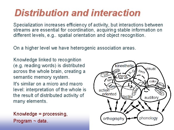 Distribution and interaction Specialization increases efficiency of activity, but interactions between streams are essential