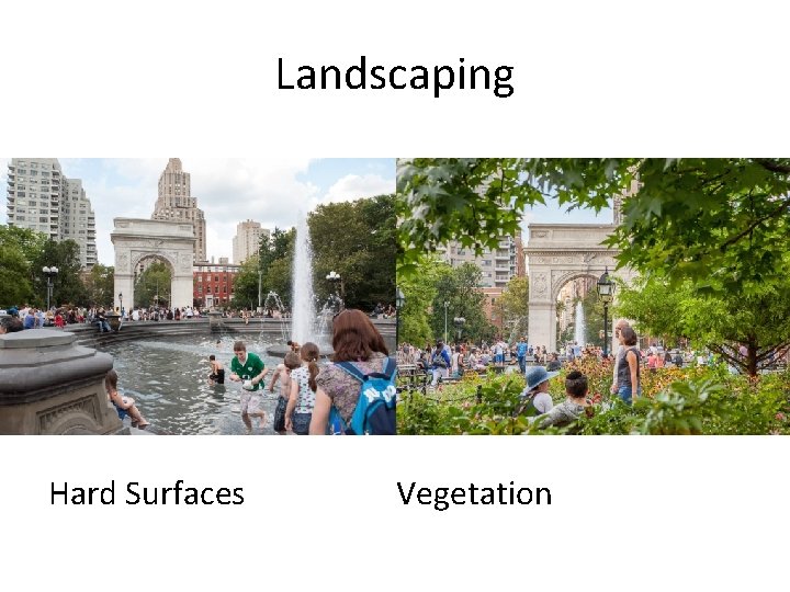 Landscaping Hard Surfaces Vegetation 