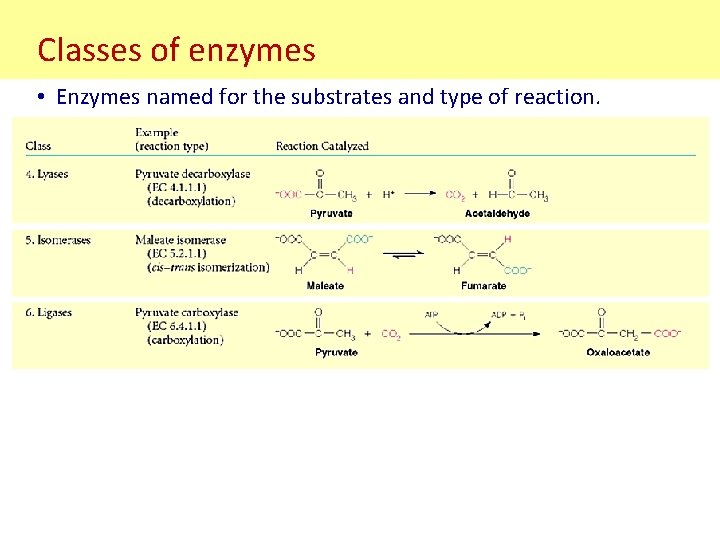 Classes of enzymes • Enzymes named for the substrates and type of reaction. 