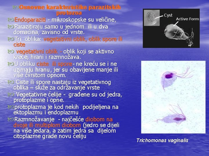  Osnovne karakteristike parazitskih protozoa Endoparaziti - mikroskopske su veličine, Parazitiraju samo u jednom