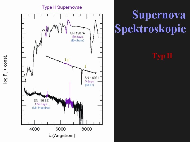 Supernova Spektroskopie Typ II 