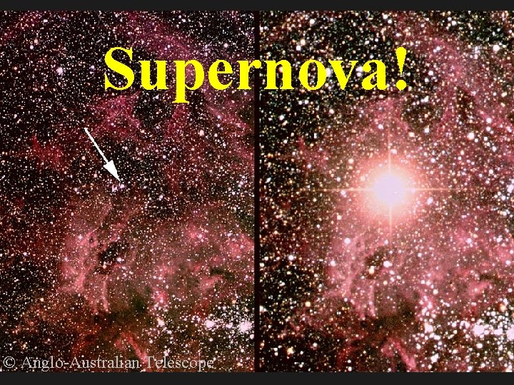 Supernova! © Anglo-Australian Telescope 