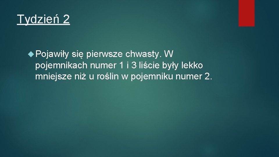 Tydzień 2 Pojawiły się pierwsze chwasty. W pojemnikach numer 1 i 3 liście były