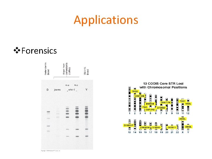 Applications v. Forensics 