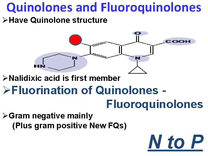 Quinolones and Fluoroquinolones ØHave Quinolone structure ØNalidixic acid is first member ØFluorination of Quinolones