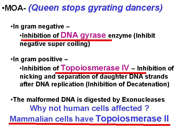  • MOA- (Queen stops gyrating dancers) • In gram negative – • Inhibition