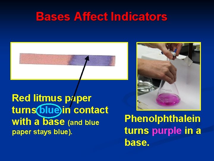 Bases Affect Indicators Red litmus paper turns blue in contact with a base (and