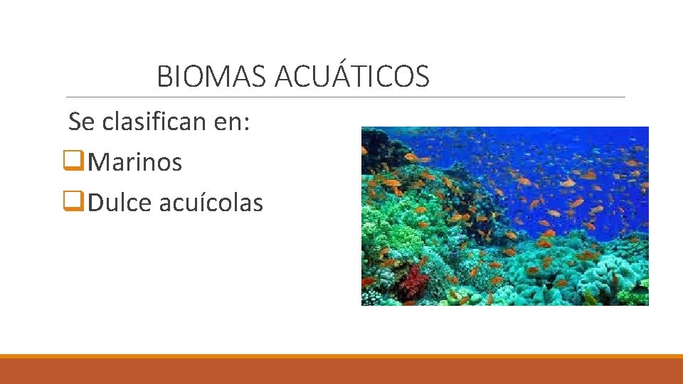 BIOMAS ACUÁTICOS Se clasifican en: q. Marinos q. Dulce acuícolas 