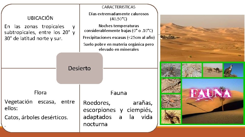 CARACTERISTICAS UBICACIÓN En las zonas tropicales y subtropicales, entre los 20° y 30° de