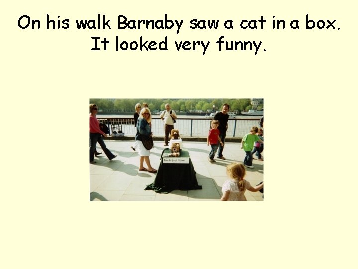 On his walk Barnaby saw a cat in a box. It looked very funny.