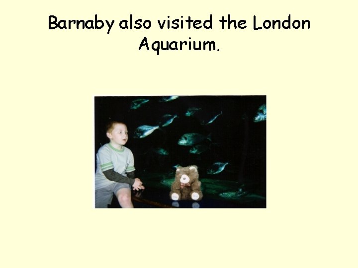 Barnaby also visited the London Aquarium. 