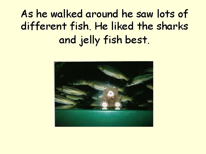 As he walked around he saw lots of different fish. He liked the sharks