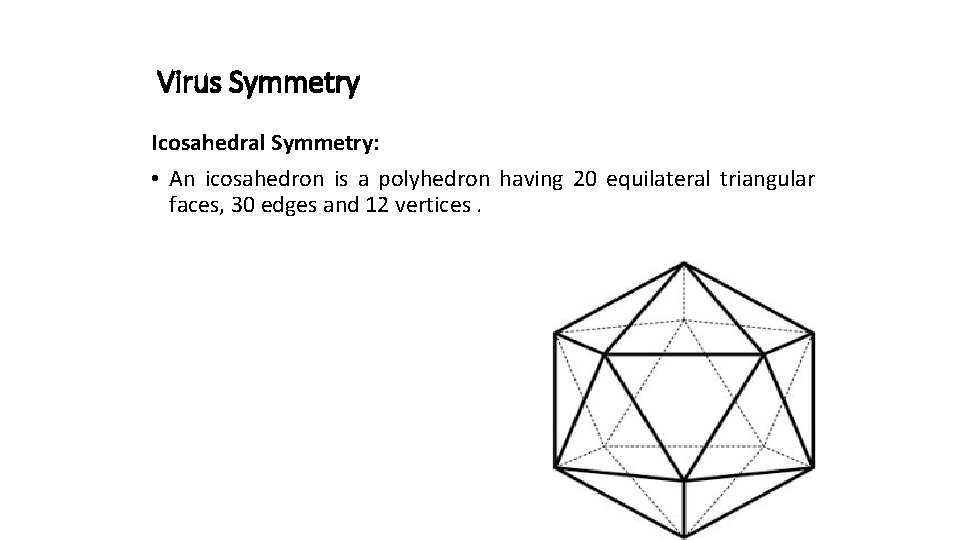Virus Symmetry Icosahedral Symmetry: • An icosahedron is a polyhedron having 20 equilateral triangular