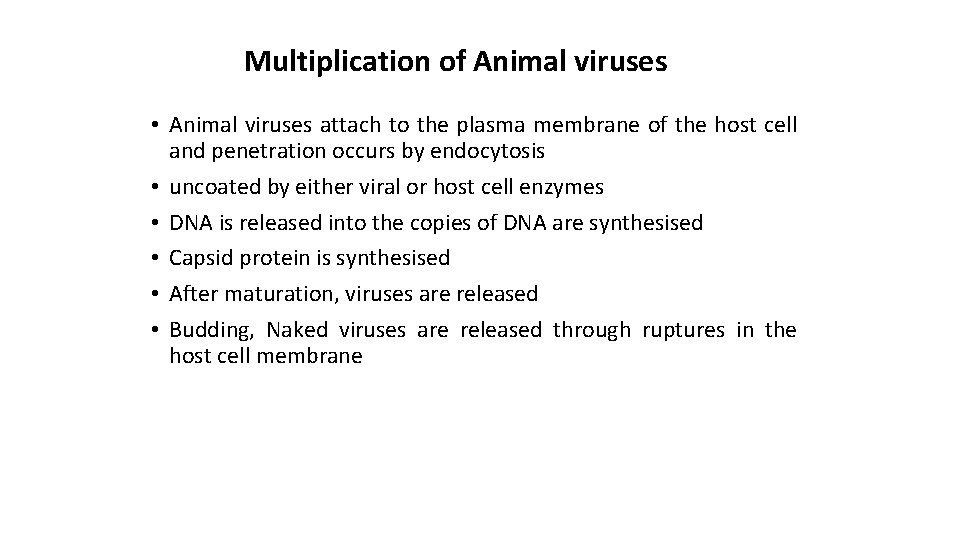 Multiplication of Animal viruses • Animal viruses attach to the plasma membrane of the