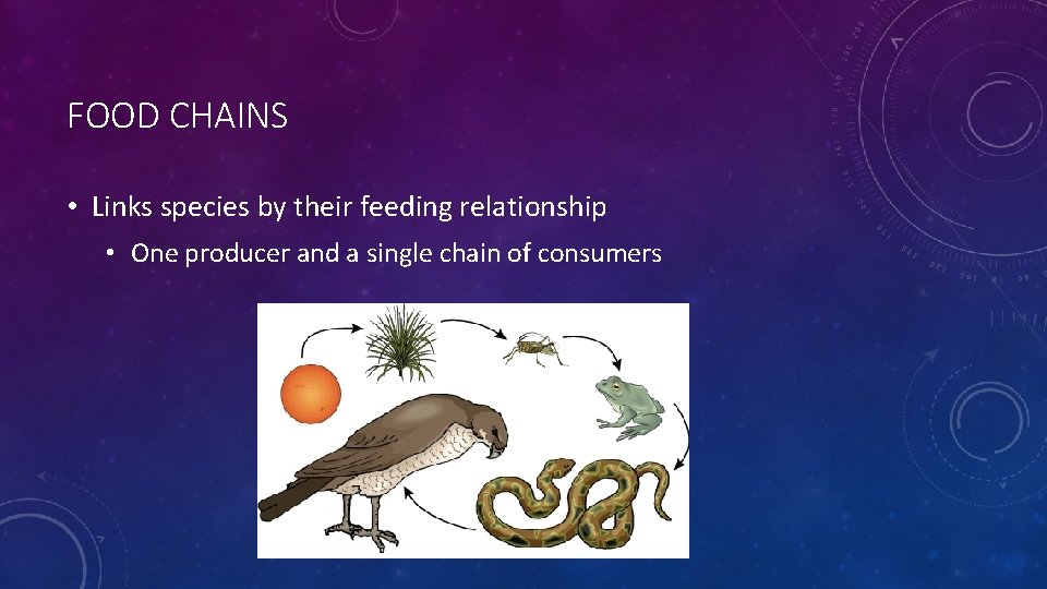 FOOD CHAINS • Links species by their feeding relationship • One producer and a