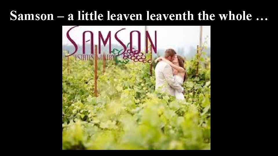 Samson – a little leaventh the whole … 