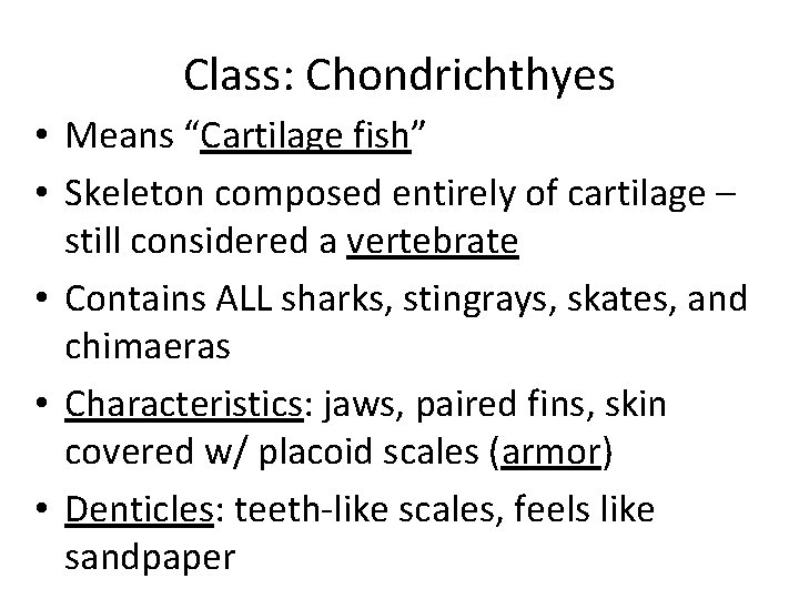 Class: Chondrichthyes • Means “Cartilage fish” • Skeleton composed entirely of cartilage – still