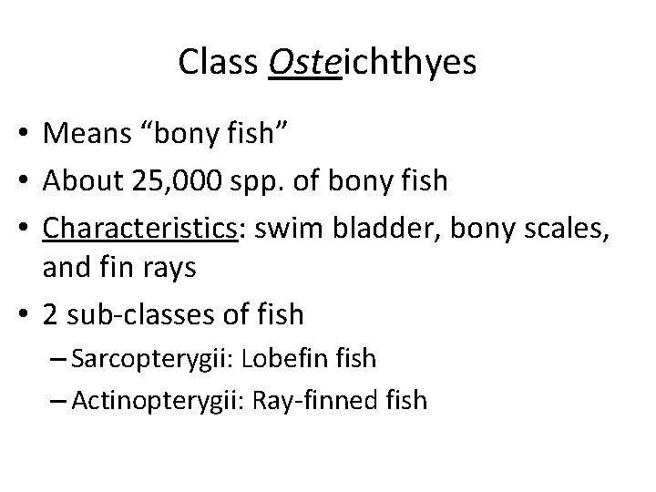 Class Osteichthyes • Means “bony fish” • About 25, 000 spp. of bony fish