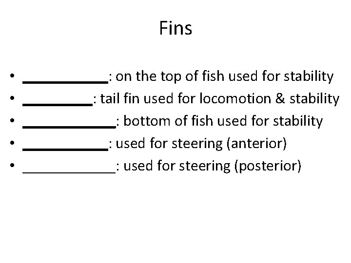 Fins • • • ______: on the top of fish used for stability _____: