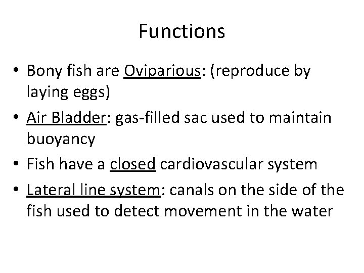 Functions • Bony fish are Oviparious: (reproduce by laying eggs) • Air Bladder: gas-filled