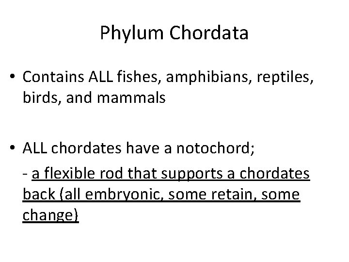 Phylum Chordata • Contains ALL fishes, amphibians, reptiles, birds, and mammals • ALL chordates