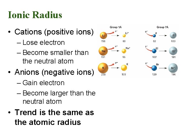 Ionic Radius • Cations (positive ions) – Lose electron – Become smaller than the