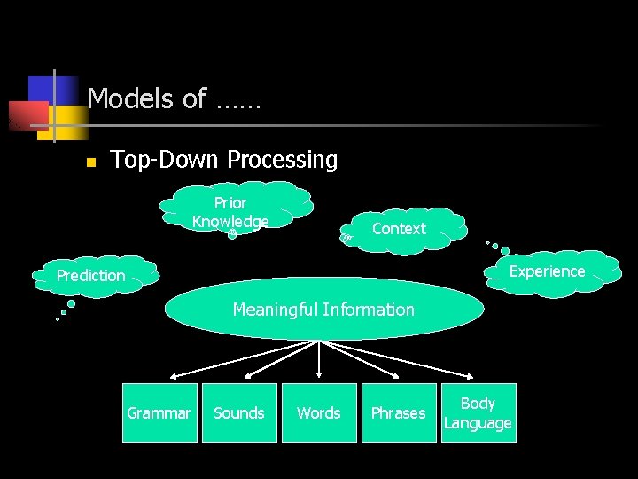 Models of …… n Top-Down Processing Prior Knowledge Context Experience Prediction Meaningful Information Grammar