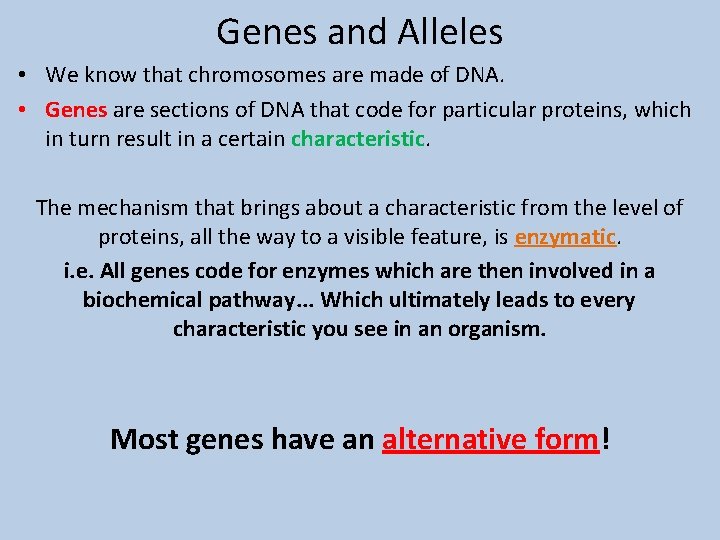 Genes and Alleles • We know that chromosomes are made of DNA. • Genes