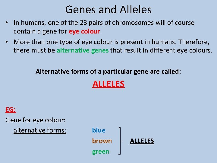 Genes and Alleles • In humans, one of the 23 pairs of chromosomes will