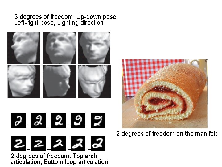3 degrees of freedom: Up-down pose, Left-right pose, Lighting direction 2 degrees of freedom