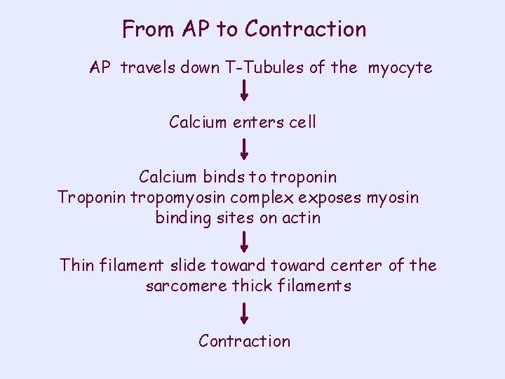 From AP to Contraction AP travels down T-Tubules of the myocyte Calcium enters cell