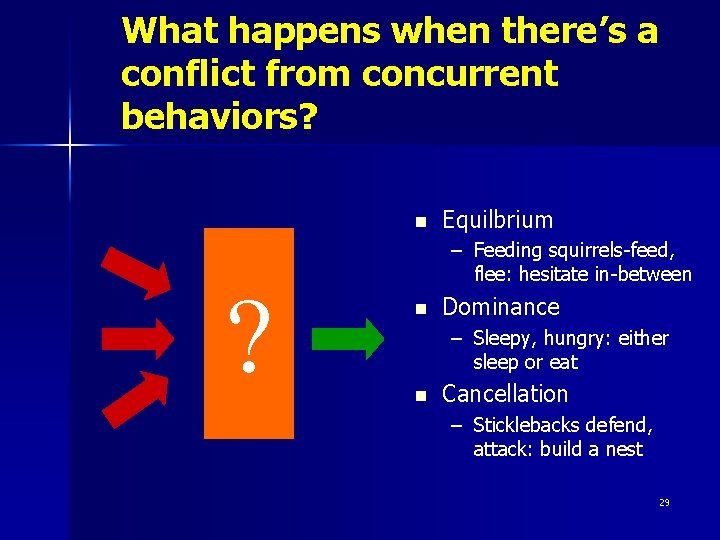 What happens when there’s a conflict from concurrent behaviors? n ? Equilbrium – Feeding