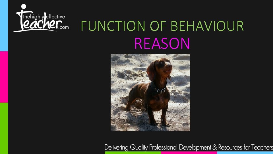 FUNCTION OF BEHAVIOUR REASON 