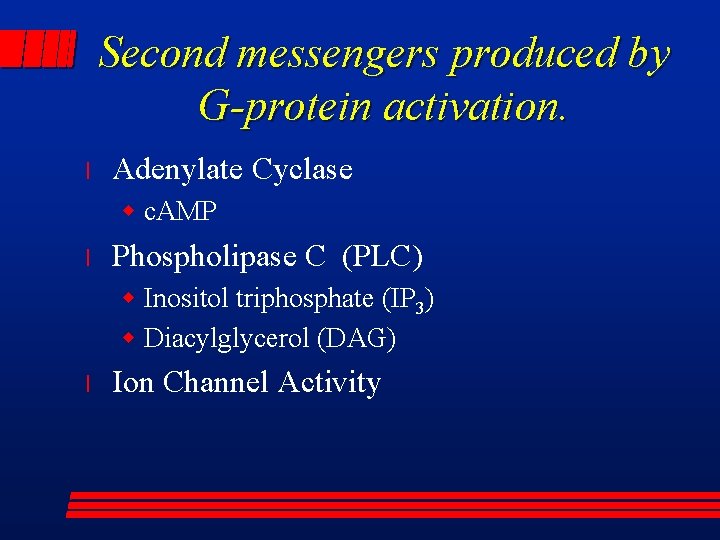 Second messengers produced by G-protein activation. l Adenylate Cyclase w c. AMP l Phospholipase
