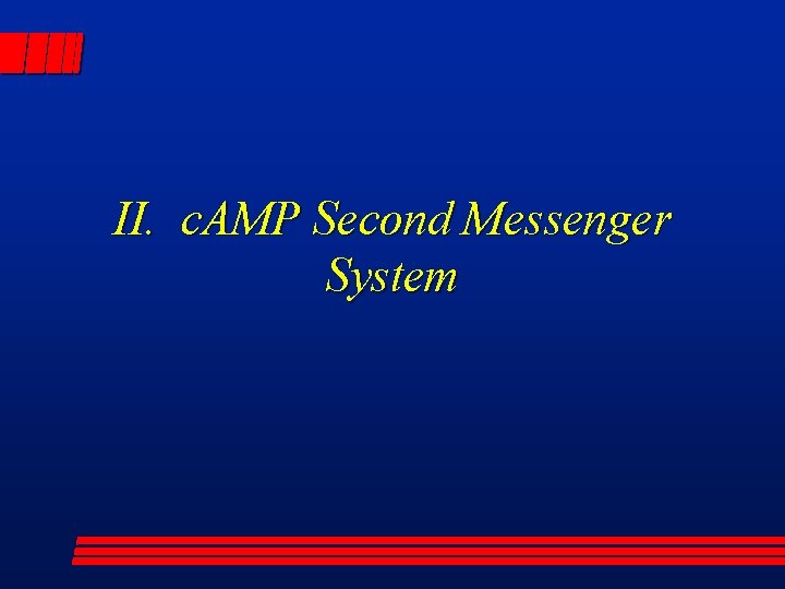 II. c. AMP Second Messenger System 