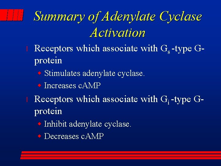 Summary of Adenylate Cyclase Activation l Receptors which associate with Gs -type Gprotein w