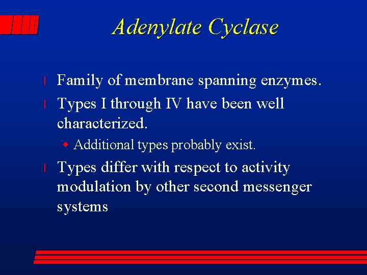 Adenylate Cyclase l l Family of membrane spanning enzymes. Types I through IV have