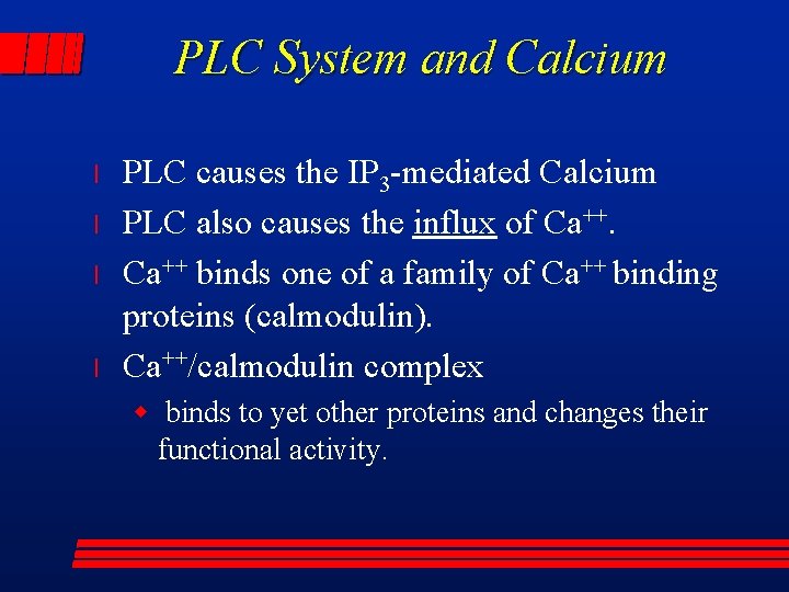 PLC System and Calcium l l PLC causes the IP 3 -mediated Calcium PLC