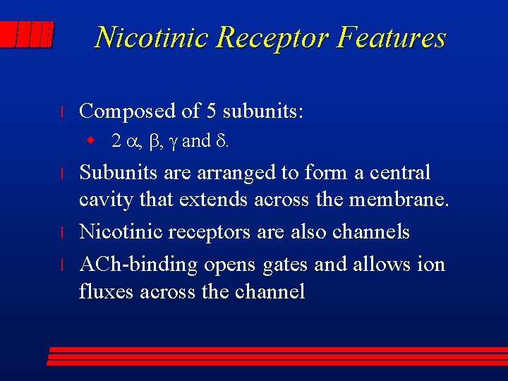 Nicotinic Receptor Features l Composed of 5 subunits: w 2 a, b, g and