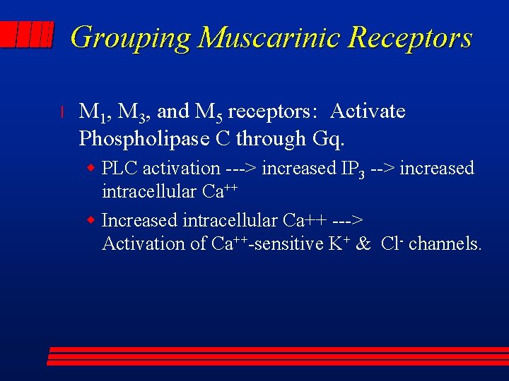 Grouping Muscarinic Receptors l M 1, M 3, and M 5 receptors: Activate Phospholipase
