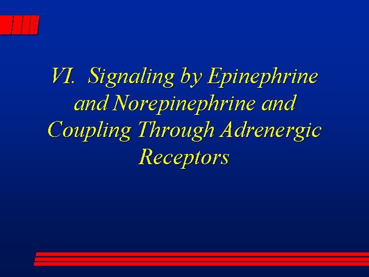 VI. Signaling by Epinephrine and Norepinephrine and Coupling Through Adrenergic Receptors 