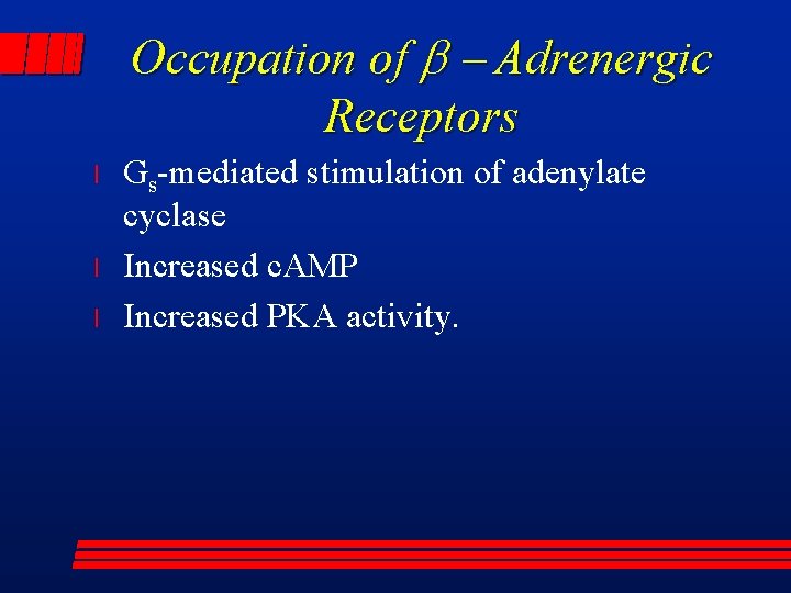 Occupation of b - Adrenergic Receptors l l l Gs-mediated stimulation of adenylate cyclase