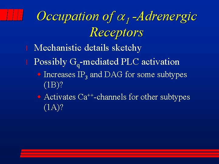 Occupation of a 1 -Adrenergic Receptors l l Mechanistic details sketchy Possibly Gq-mediated PLC