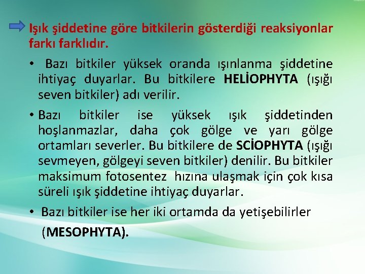 Işık şiddetine göre bitkilerin gösterdiği reaksiyonlar farkı farklıdır. • Bazı bitkiler yüksek oranda ışınlanma