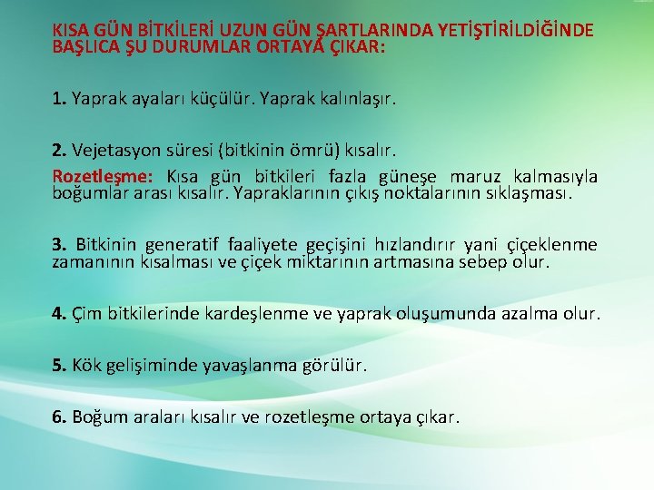 KISA GÜN BİTKİLERİ UZUN GÜN ŞARTLARINDA YETİŞTİRİLDİĞİNDE BAŞLICA ŞU DURUMLAR ORTAYA ÇIKAR: 1. Yaprak