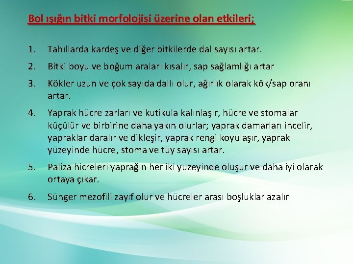 Bol ışığın bitki morfolojisi üzerine olan etkileri; 1. Tahıllarda kardeş ve diğer bitkilerde dal